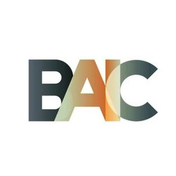 BAICLOGO