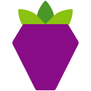 BerryLOGO